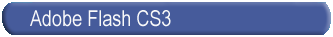 Flash Training Online, Flash Training Learn Flash, Tutorials training Flash CS3 Professional Essential Training